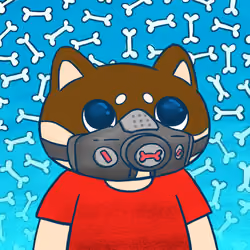 Super Shiba #9128