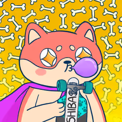 Super Shiba #3307