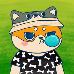 Super Shiba #6600