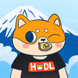 Super Shiba #7013