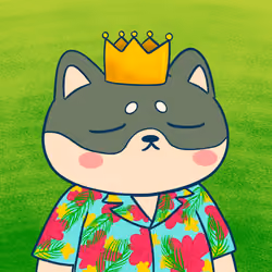 Super Shiba #7213