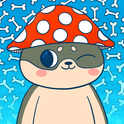 Supershibaclub