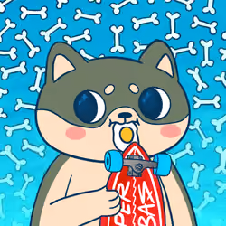 Super Shiba #9611