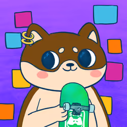 Super Shiba #7925