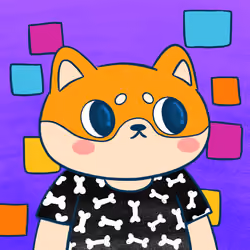 Super Shiba #5004