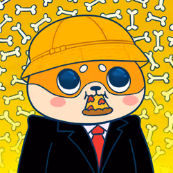Super Shiba #3534