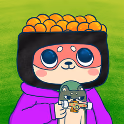 Super Shiba #992