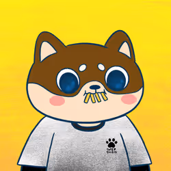 Super Shiba #6243