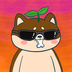 Super Shiba #9021