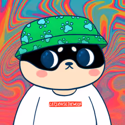 Super Shiba #606