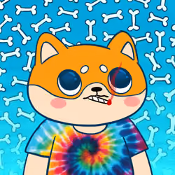 Super Shiba #383