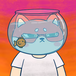 Super Shiba #1844