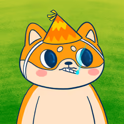 Super Shiba #9560