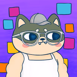 Super Shiba #5829