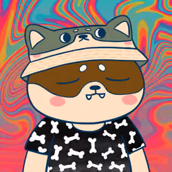 Super Shiba #9359