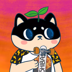 Super Shiba #3585
