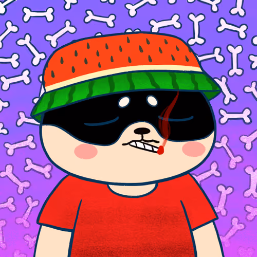 Super Shiba #4496