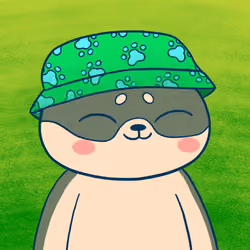 Super Shiba #8021