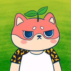 Super Shiba #1351