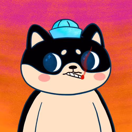 Supershibaclub