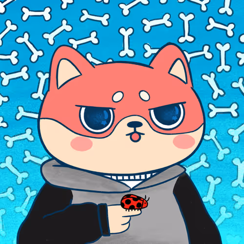 Supershibaclub