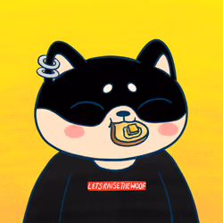 Super Shiba #6008
