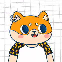Super Shiba #7793