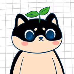 Super Shiba #2541