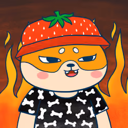 Super Shiba #9626