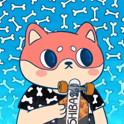 Super Shiba #5528