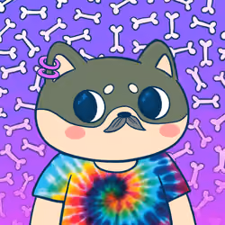 Super Shiba #6369