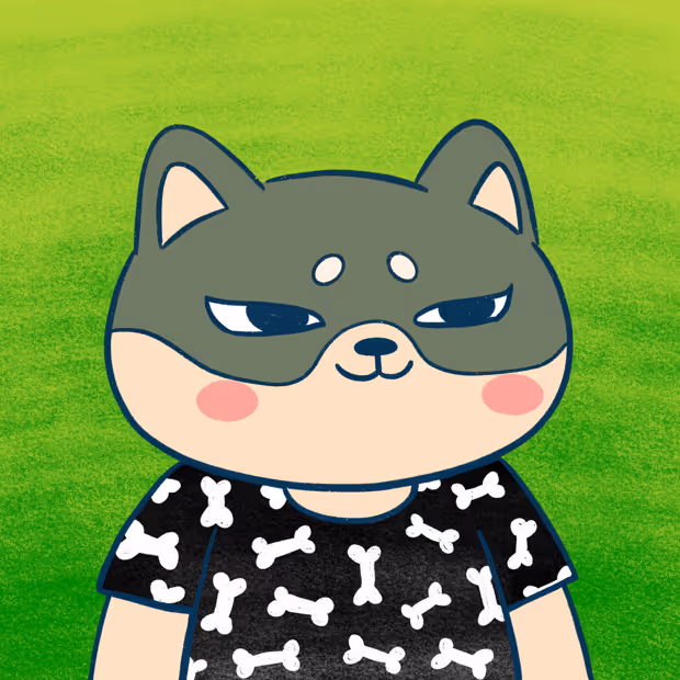 Super Shiba #9969