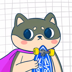 Super Shiba #2427