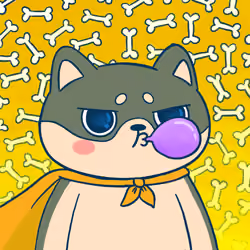 Super Shiba #5023