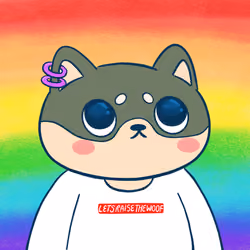 Super Shiba #2609