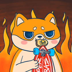 Super Shiba #6814