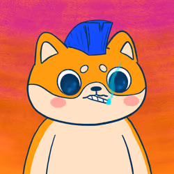 Super Shiba #9614