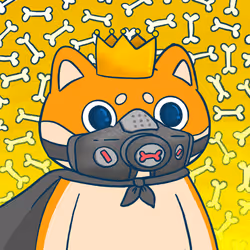 Super Shiba #6041