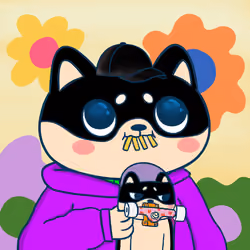 Super Shiba #5256