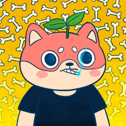 Super Shiba #7711