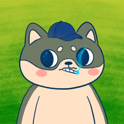 Super Shiba #1341