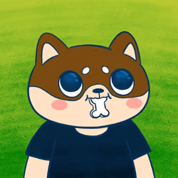 Super Shiba #5468