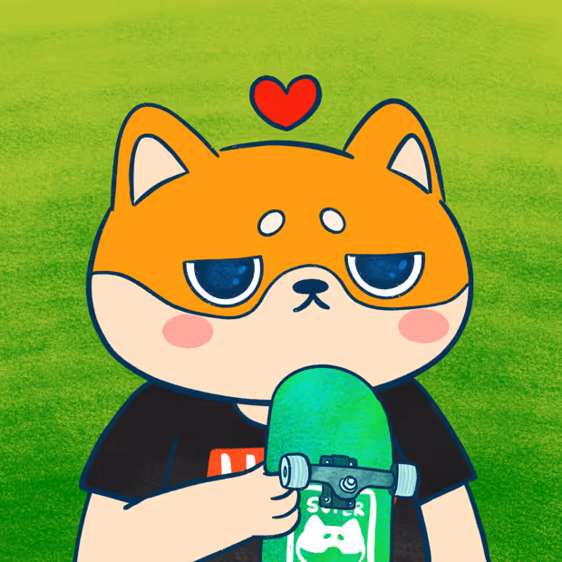 Super Shiba #10008