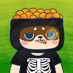 Super Shiba #6694