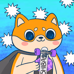 Super Shiba #5057