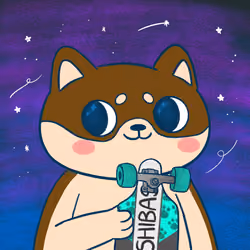 Super Shiba #2511
