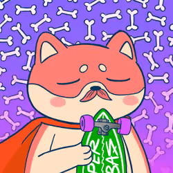 Super Shiba #6550