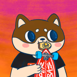 Super Shiba #5451