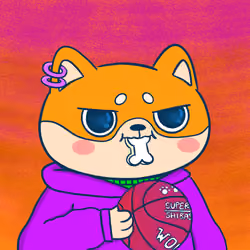 Super Shiba #1209