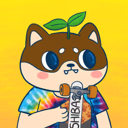 Super Shiba #5789